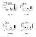 Fig. 33 - METHODS DEVICES AND SYSTEMS OF PREPARING TARGETED MICROBUBBLE SHELLS