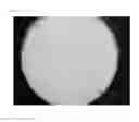 Fig. 02 - Collagen Sponge
