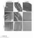 Fig. 11 - Polymer-tissue hybrid biomaterials and methods of making and using same
