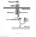 Fig. 02 - Bone morphogenetic protein pathway activation, compositions for ossification, and methods related thereto