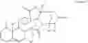 Fig. 06 - Bone morphogenetic protein pathway activation, compositions for ossification, and methods related thereto