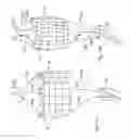 Fig. 19 - Catheter-based heart support system and method of implanting thereof