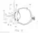Fig. 12 - Methods and Devices for Controlling Biologic Microenvironments