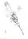 Fig. 02 - CATHETER ASSEMBLY