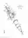 Fig. 05 - CATHETER ASSEMBLY