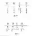 Fig. 11 - Refractory and blanking intervals in the context of multi-site left ventricular pacing
