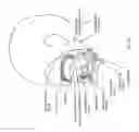 Fig. 145 - Obstructive sleep apnea treatment devices, systems and methods