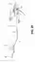 Fig. 42 - Obstructive sleep apnea treatment devices, systems and methods