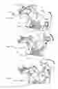 Fig. 04 - Exercise apparatus