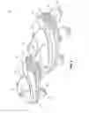 Fig. 04 - Exercise Systems, Exercise Devices and Exercise Methods