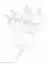Fig. 01 - JIGSAW PUZZLE