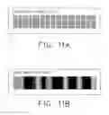Fig. 09 - Distributed system of autonomously controlled mobile agents