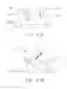 Fig. 27 - Distributed system of autonomously controlled mobile agents