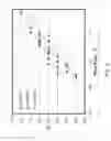 Fig. 04 - HYDROISOMERIZATION CATALYST WITH A BASE EXTRUDATE HAVING A HIGH NANOPORE VOLUME