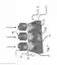 Fig. 08 - Hybrid linear actuator controlled hydraulic cell stretching