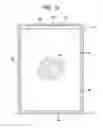 Fig. 03 - Dispensing Package Comprising Internal Package Fitment
