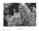 Fig. 02 - PROCESS FOR MANUFACTURING METAL CONTAINING POWDER