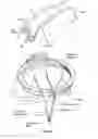 Fig. 02 - Swing motion for manufacturing non-generated bevel gears with end relief
