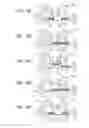 Fig. 07 - Automated assembly apparatus and automated assembly method