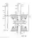 Fig. 04 - INDUCTION HARDENED PROCESSING SHAFT AND METHOD OF MAKING SAME
