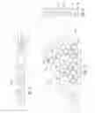 Fig. 11 - Vise jaw base plate adapters including soft jaws