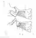 Fig. 16 - HANDHELD ENGAGEMENT DEVICE