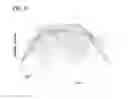 Fig. 12 - Compliant motion control for robot