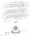 Fig. 06 - Device and method for creating partial cuts in food products