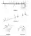 Fig. 04 - System and method for positioning at least one spacer in a longitudinal pipe