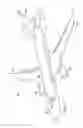 Fig. 02 - Composite part forming system