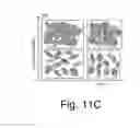 Fig. 24 - Continuous roll-to-roll process design for vertical alignment of particles using electric field
