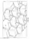 Fig. 08 - Method of repairing a core stiffened structure