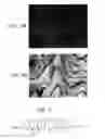 Fig. 04 - Laminate sheet and molded body, and methods for producing the same