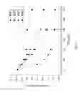 Fig. 04 - INTERFACE CONTROL OF SEMI-CRYSTALLINE BIOPOLYMER FILMS