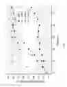 Fig. 05 - INTERFACE CONTROL OF SEMI-CRYSTALLINE BIOPOLYMER FILMS