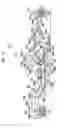 Fig. 16 - LIQUID EJECTION HEAD DRIVING SYSTEM
