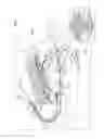 Fig. 02 - Recording apparatus