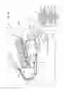 Fig. 11 - Recording apparatus