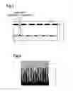 Fig. 02 - Multiple-image display body