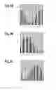 Fig. 03 - Multiple-image display body