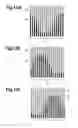 Fig. 09 - Multiple-image display body