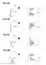 Fig. 11 - Multiple-image display body