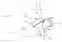 Fig. 01 - Grip positioning device