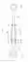 Fig. 25 - Active rotary stabilizer and stabilizer bar link assembly for vehicle
