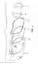 Fig. 03 - Flexible light guide for vehicle display applications