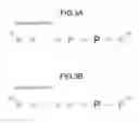 Fig. 04 - Display device