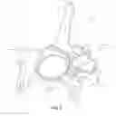 Fig. 04 - Steering knuckle apparatus for a vehicle