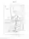 Fig. 03 - Vehicle body rear structure