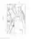 Fig. 04 - Vehicle body rear structure