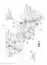 Fig. 02 - Vehicle subframe